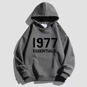 1977 Essentials Gray Essentials Hoodie